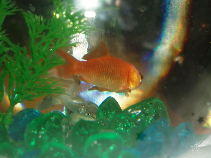 AK-wedding-6300019.jpg - OLYMPUS DIGITAL CAMERA