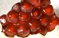 Pomegranite-3242